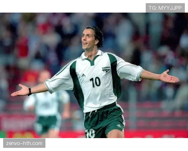 《裁判风云：欧洲杯赛场上的传奇执法者》